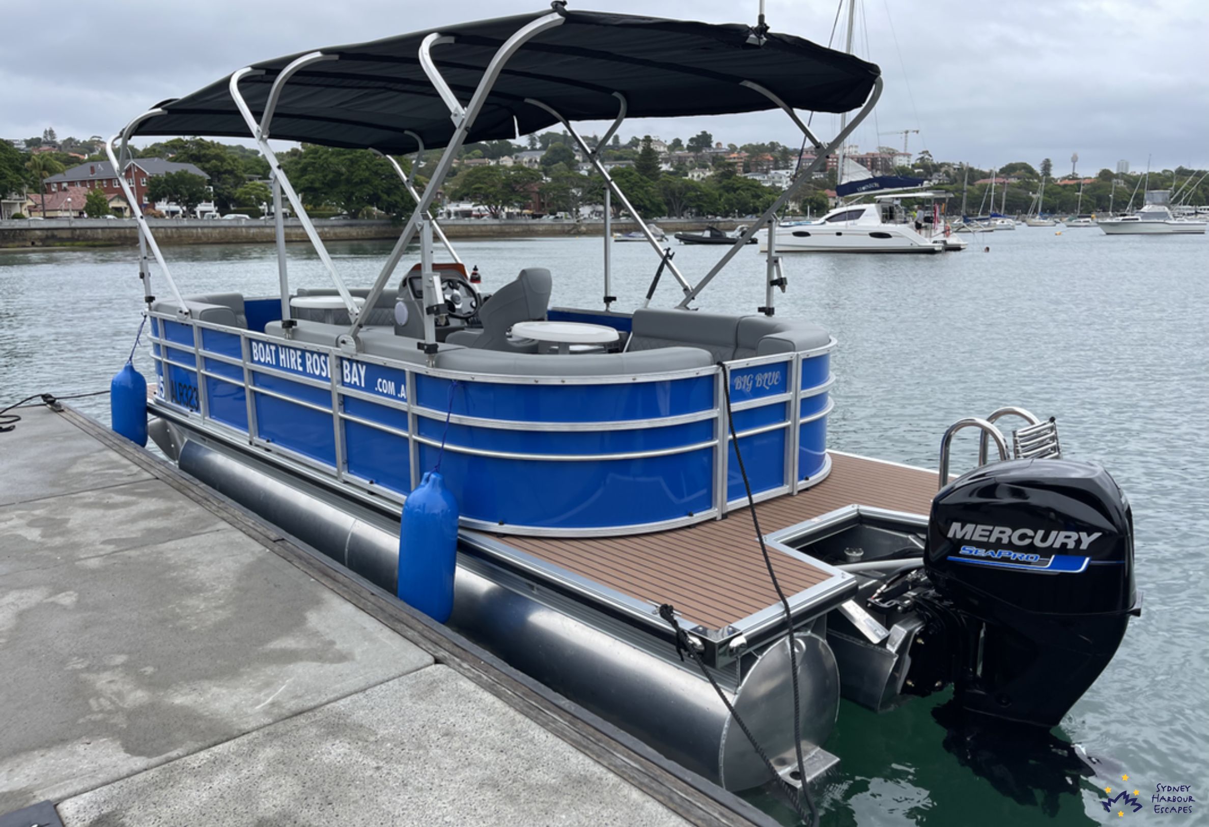 Pontoon 20ft On Shore